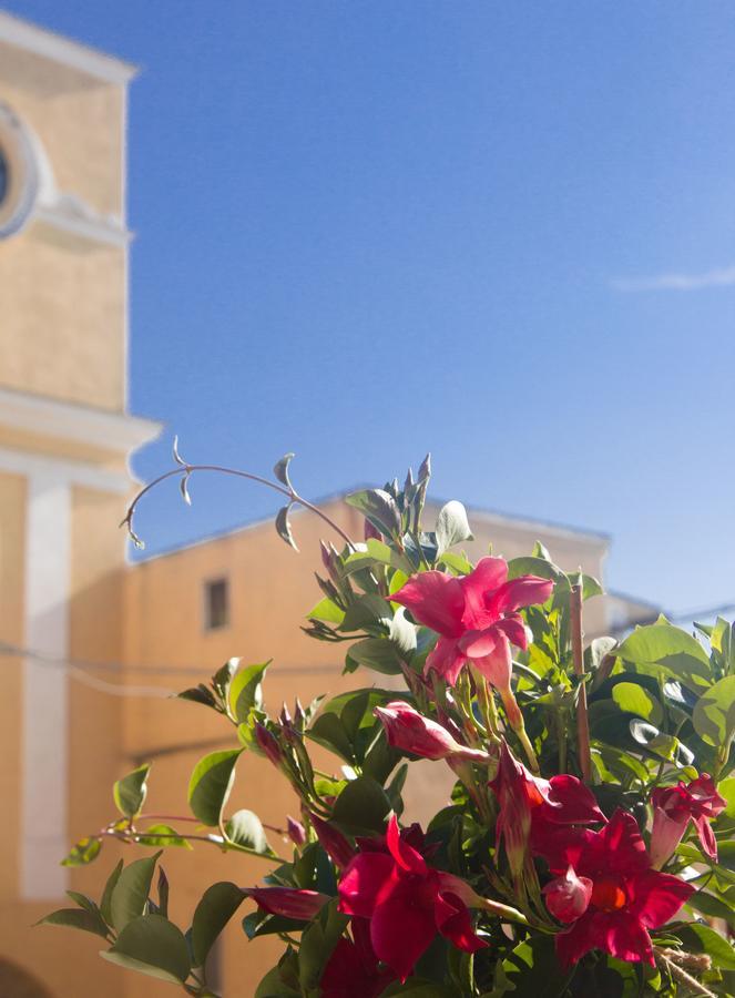 B&B San Trifone Adelfia Bagian luar foto